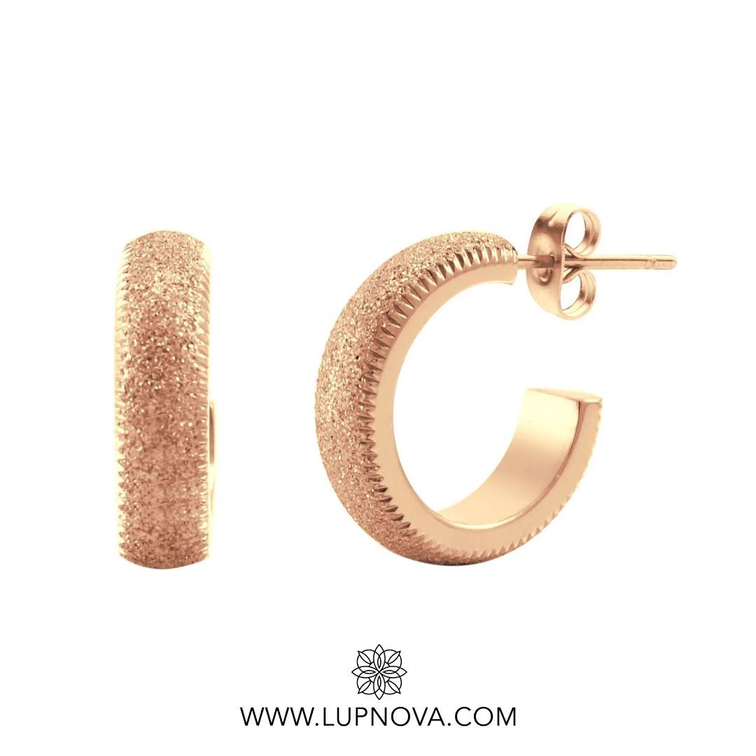 Argollas brushed mini hoops